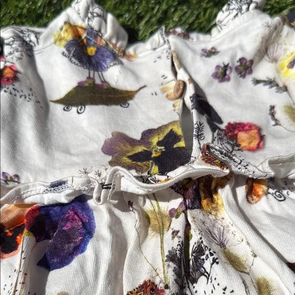Next (UK) Floral Fairies Print Long Sleeve Dress 3T - Picture 5 of 5